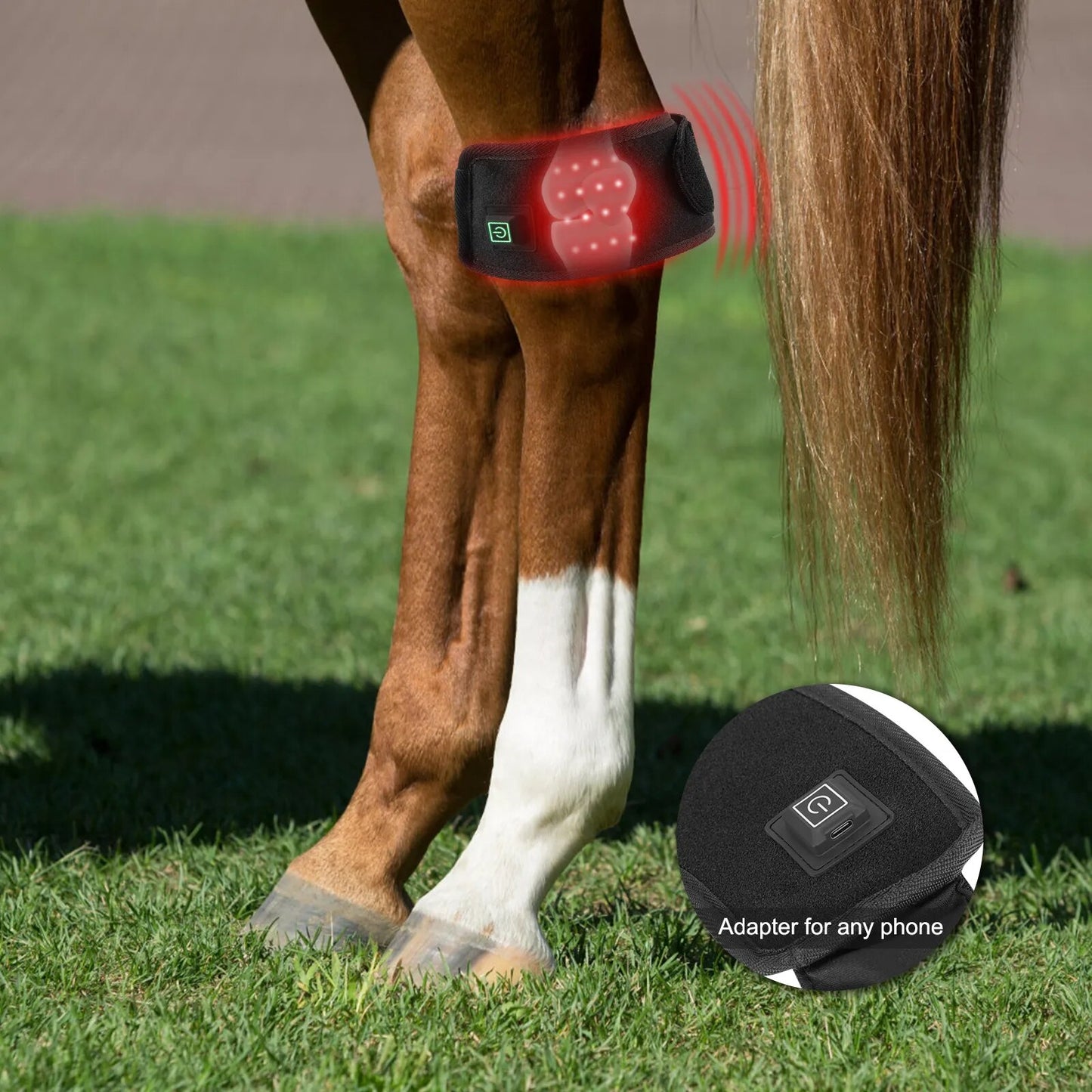 Anredar 2023 trendy products 660nm 850nm Therapy Horse Tendon Boots Hot Leg infrared Wraps for Equine Wound Healing Pain Relief - offthespeed