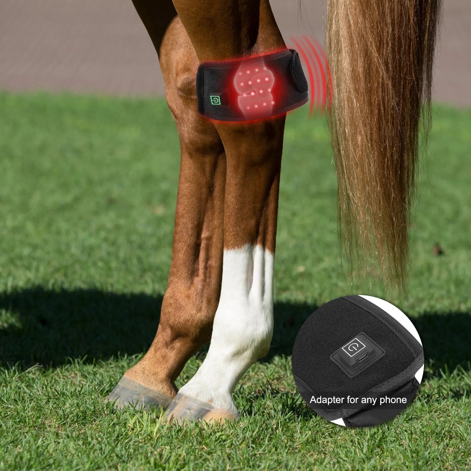 Anredar 2023 trendy products 660nm 850nm Therapy Horse Tendon Boots Hot Leg infrared Wraps for Equine Wound Healing Pain Relief - offthespeed